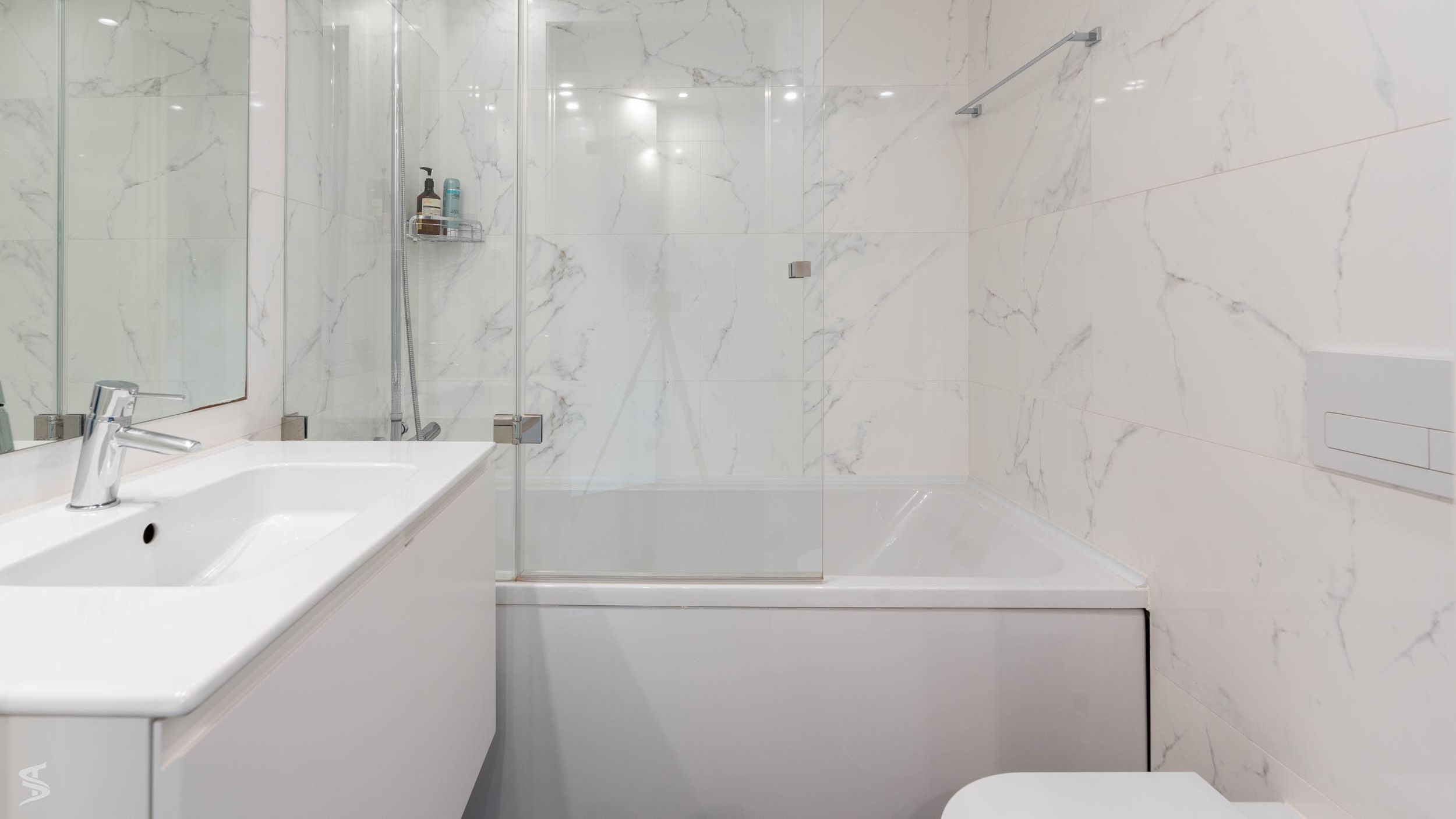 Guest bathroom