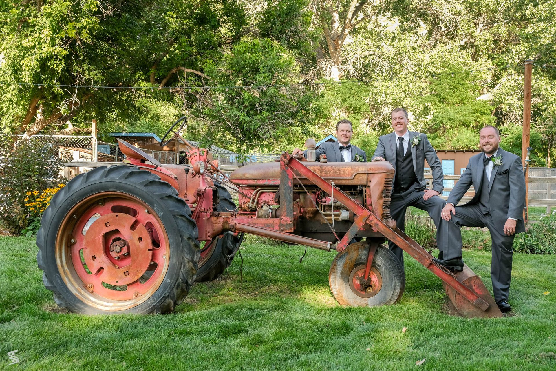 Weddings 37
