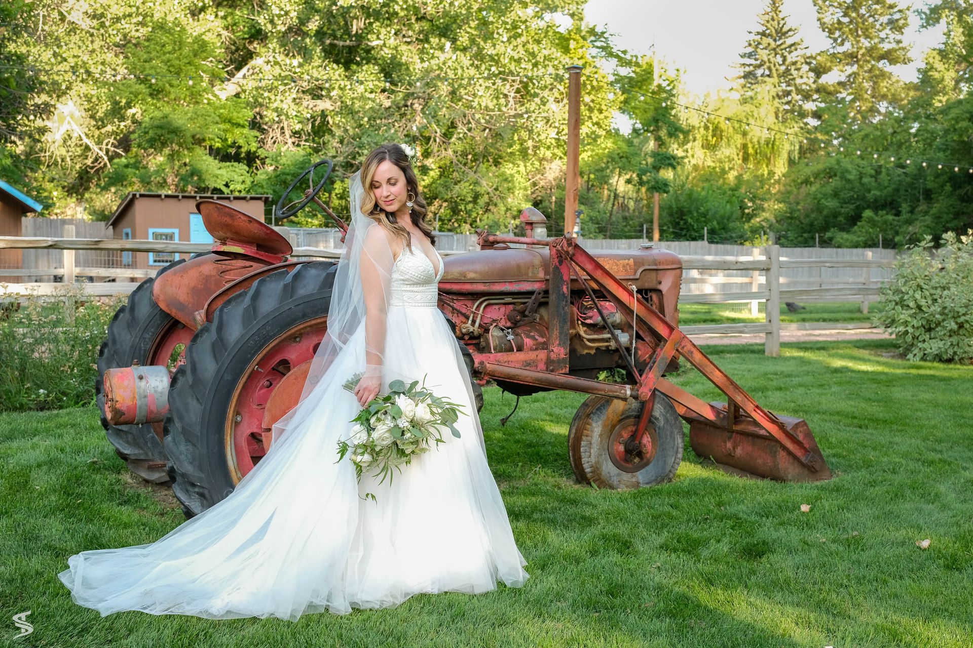 Weddings 39