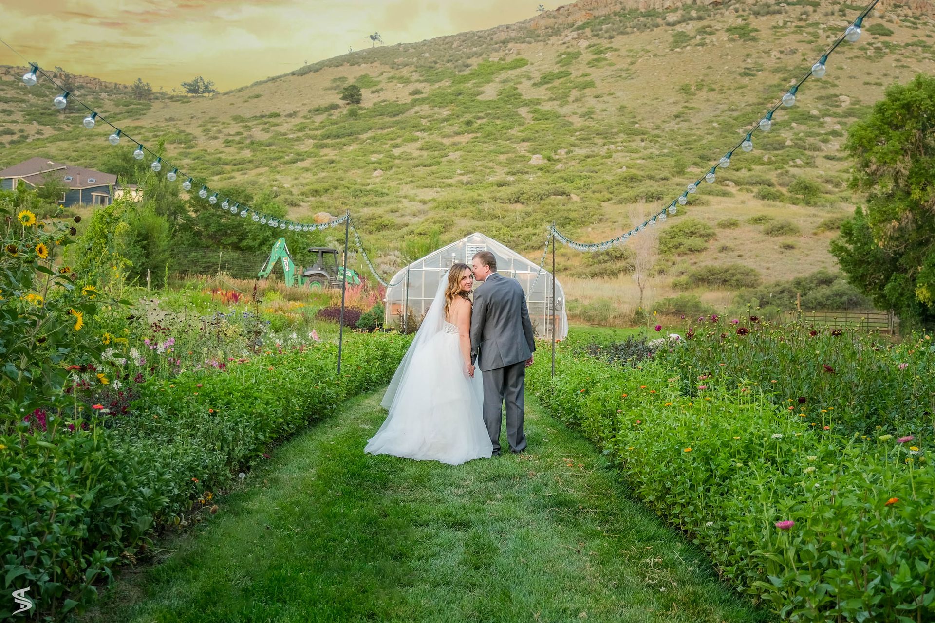Weddings 43