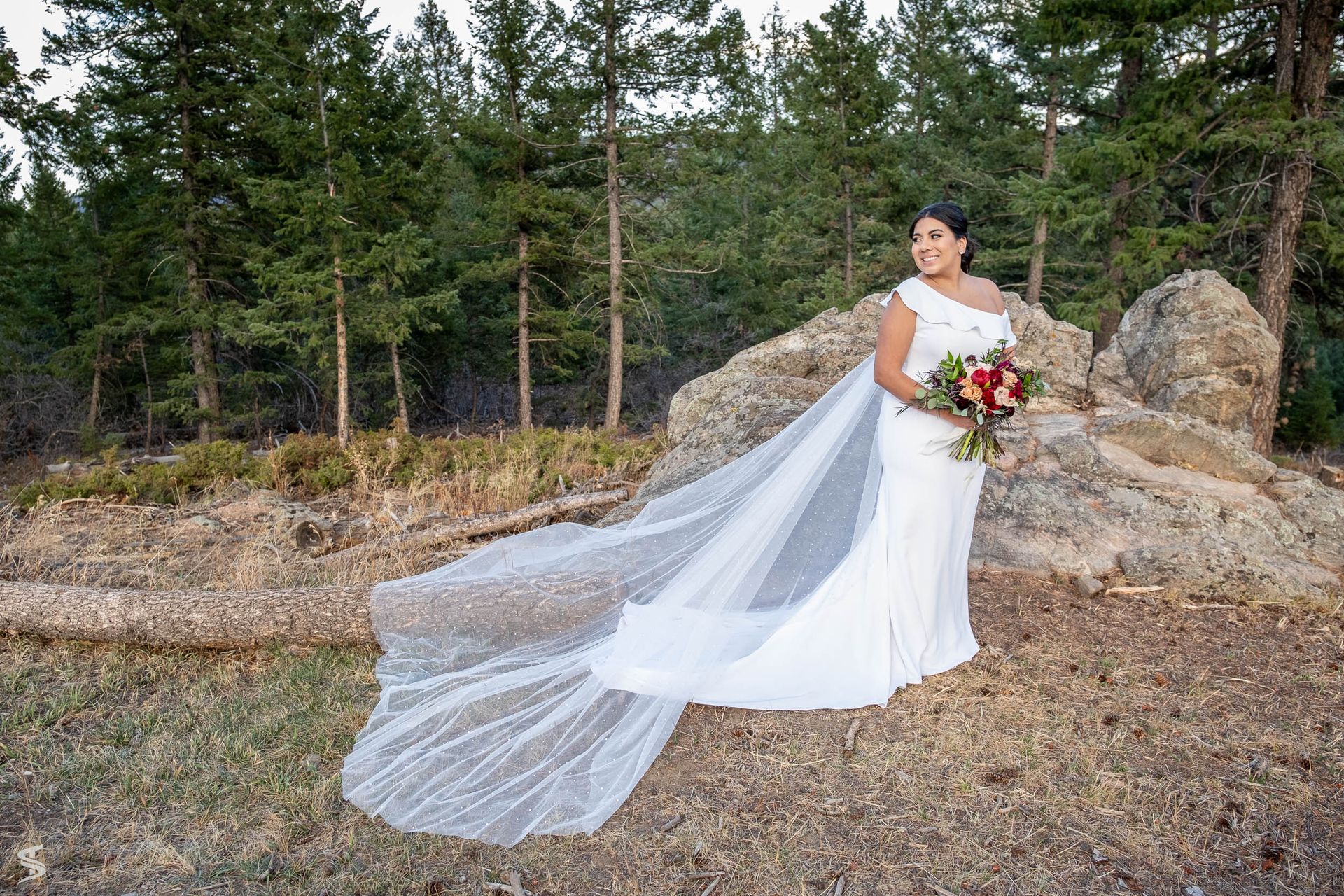 Weddings 53