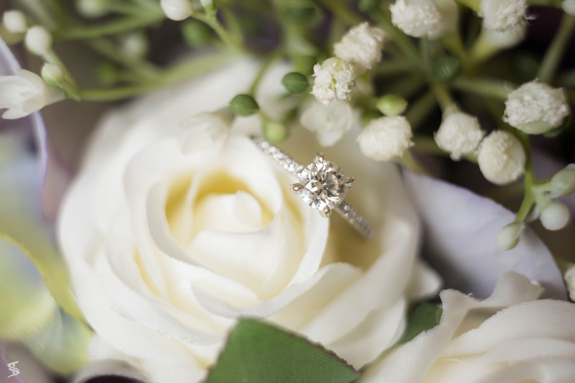 Weddings 61